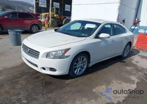 2010 Nissan Maxima 3.5 Sv из США, поврежденный, VIN 1N4AA5AP7AC841880